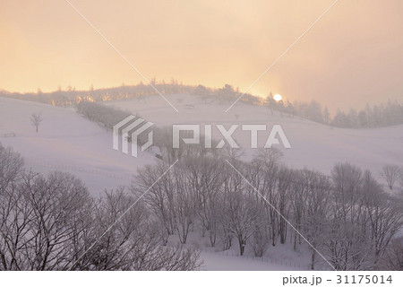 江原道 大関嶺 雪景色 31175014