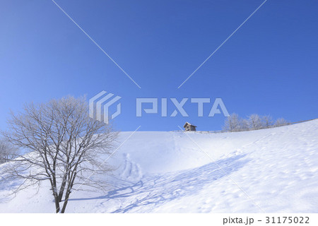 江原道 大関嶺 雪景色 31175022