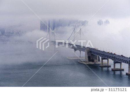 高層ビル 広安大橋 海 31175121