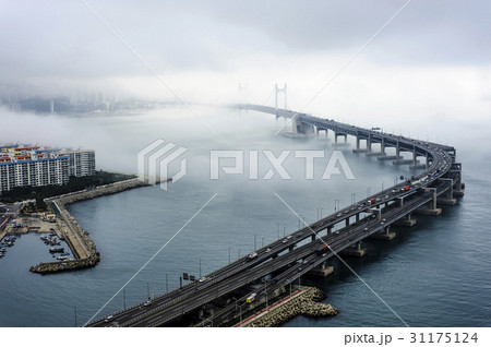 広安大橋 橋 釜山 31175124