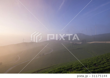 代替エネルギー エネルギー 野原 31175144