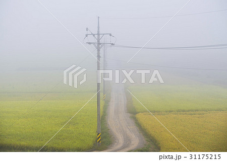 慶南 霧 昌寧郡 31175215