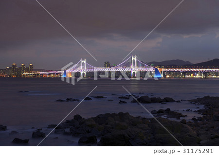広安大橋 海 夜景 31175291