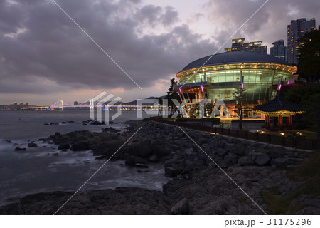 椿島 海 釜山 31175296