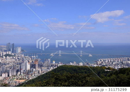 高層マンション 釜山 水平線 31175299