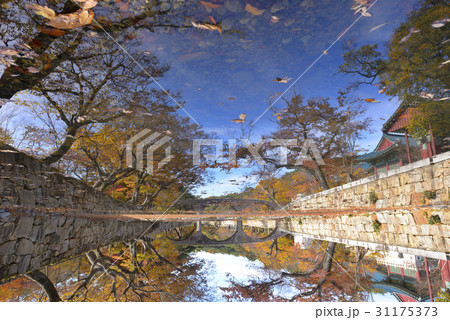 慶南 反射 反影 31175373