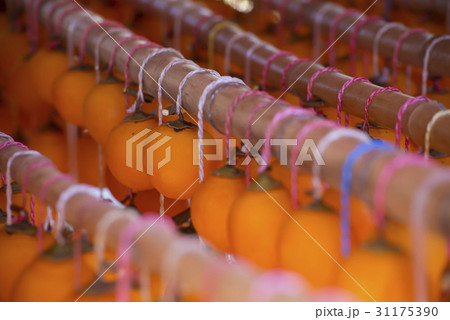 乾燥 慶南 干し柿 31175390