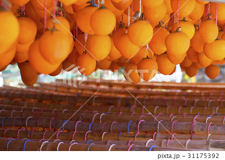 乾燥 慶南 干し柿 31175392