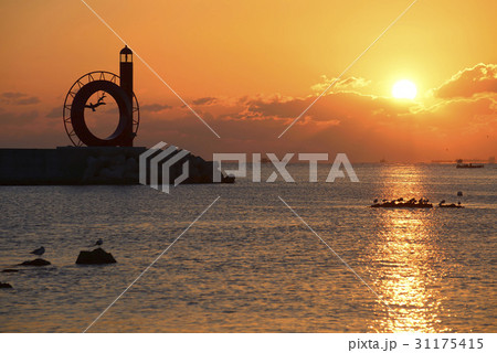 カモメ灯台 灯台 釜山 31175415