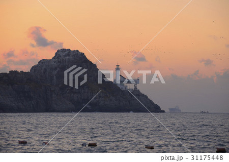 夕焼け 海 釜山 31175448