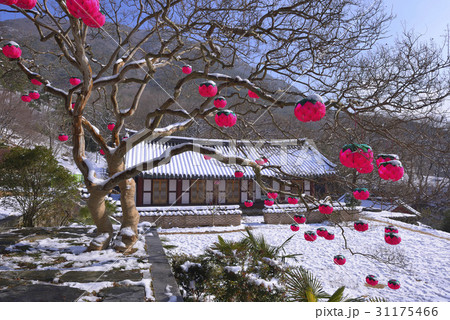 季節 ゆき 雪 31175466