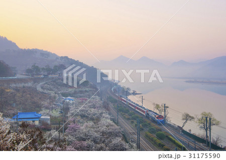 川 河 列車 31175590