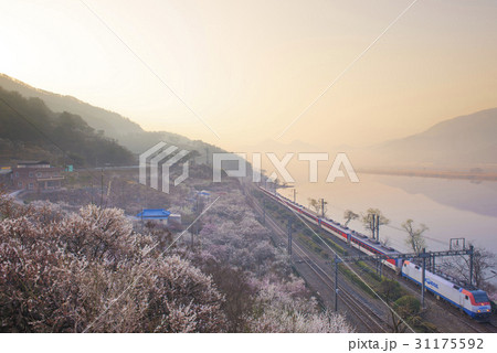 慶南 列車 洛東江 31175592