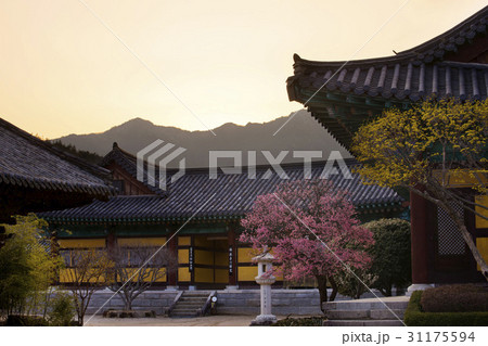 慶南 梁山市 通度寺 31175594
