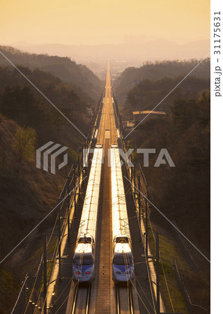 高速列車 列車 遠近感 31175631