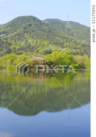 密陽市 山 池 31175642