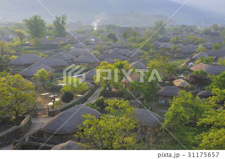 木 楽安邑城 民俗村 31175657