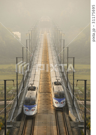 慶北 霧 韓国 31175695