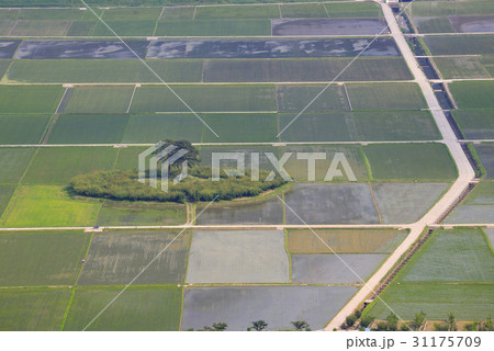 慶南 ノン 田畑 31175709