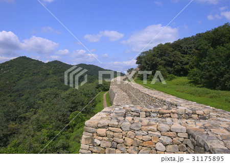 慶南 ギムヘブン酸 分散 31175895