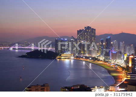 高層ビル 釜山 夜景 31175942