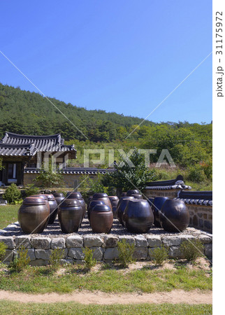 ノンアム宗宅 安東市 かめ 31175972