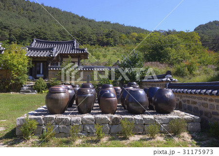 慶北 ノンアム宗宅 かめ 31175973