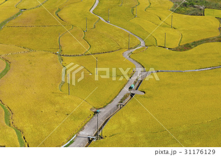 ノン 墓も 麗水市 31176129