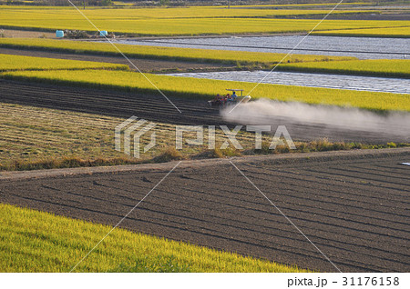 慶南 農業 農作物 31176158