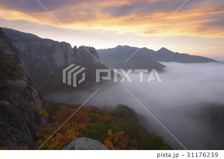 慶北 紅葉 崖 31176239