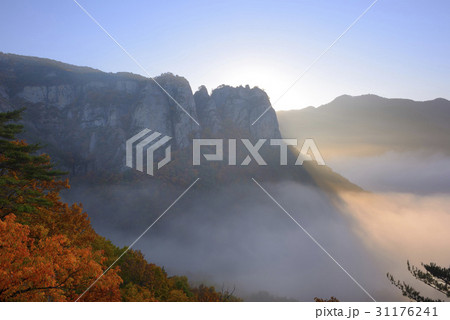 紅葉 ブドンミョン 山 31176241