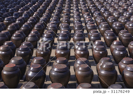 茶色 京畿道 キョンギド 31176249