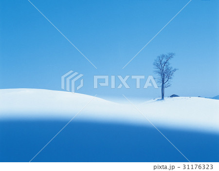 江原道 大関嶺 景色 31176323