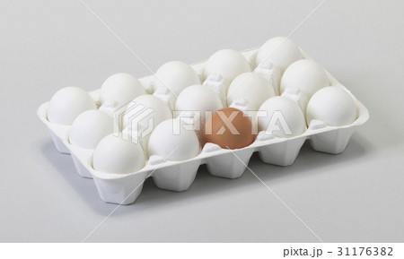 茶色 多数 卵 31176382