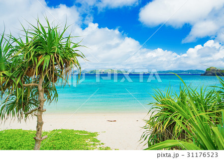 トカシクビーチ 31176523