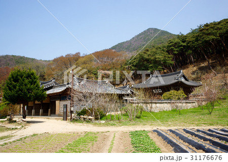 鶏龍山 鶏龍山ジュンアクダン シンウォンサ 31176676