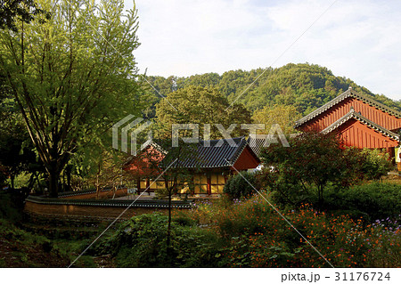山 崇リムサ 益山市 31176724