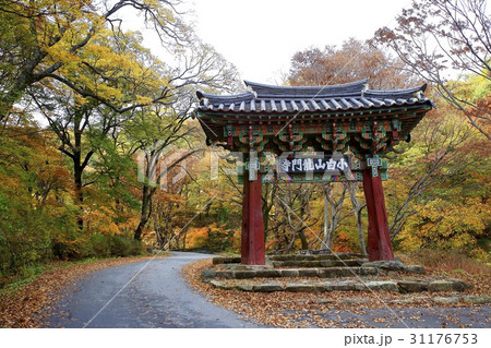 慶北 森 龍門寺 31176753