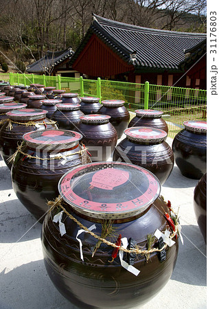 築く 硬化 人々 31176803