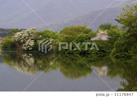 慶南 密陽市 池 31176847