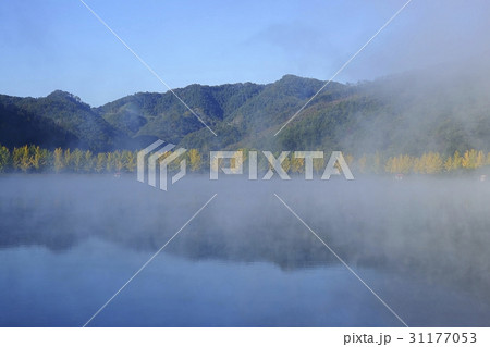 ムングァン貯水池 忠清北道 風景 31177053