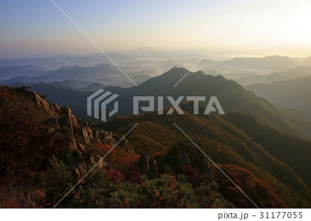 紅葉 大屯 山 31177055