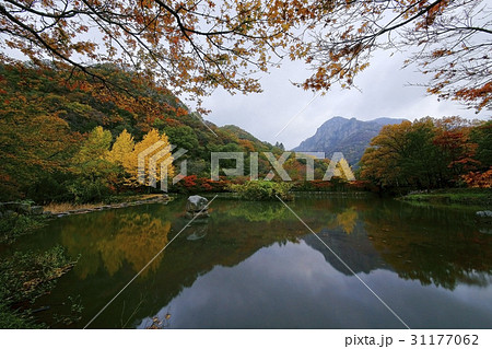 秋 紅葉 反射 31177062