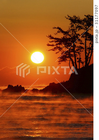 ミョンソンド シルエット 蔚山 31177097