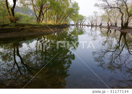 金剛 大田 反射 31177134