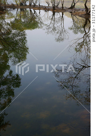 反射 反影 忠清北道 31177142