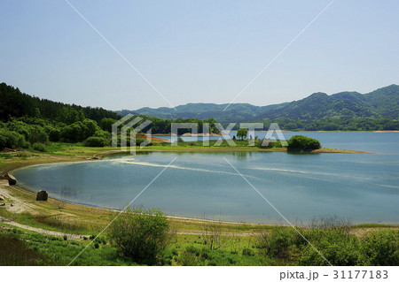 大田 大清湖 東 31177183
