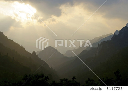 江原道 恐竜稜線 山 31177224
