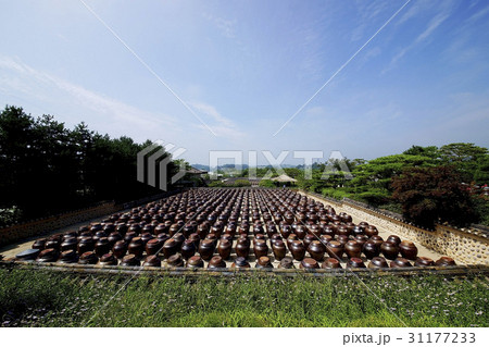 京畿道 キョンギド ソイル農園 31177233