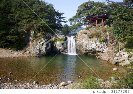 慶北 グムランジョン 俗離山 31177292